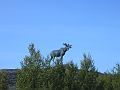 Nordkap 2009 505